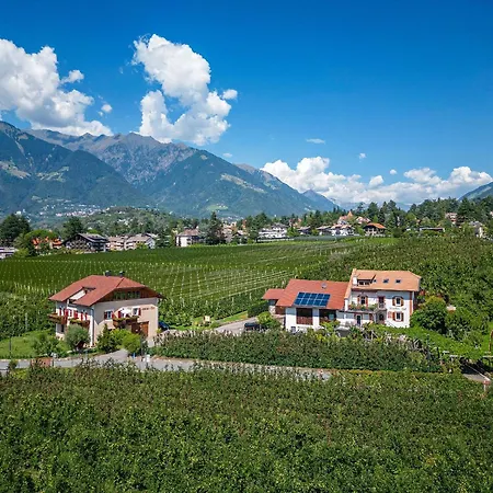Stoeckerhof Traube