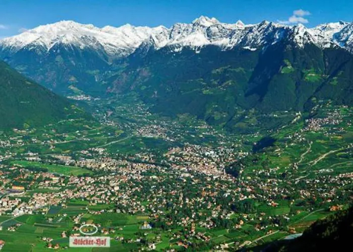 Stoeckerhof Traube *